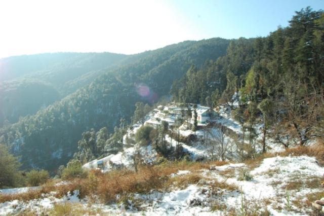 Natureraga Fernhill Resort Chail Exterior foto