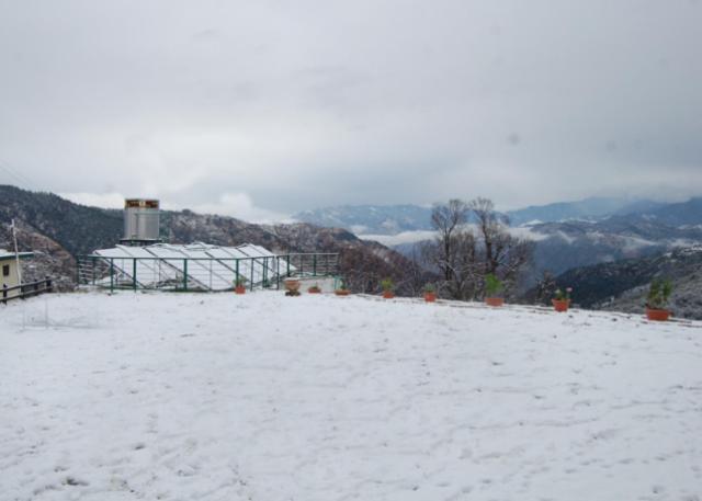 Natureraga Fernhill Resort Chail Exterior foto